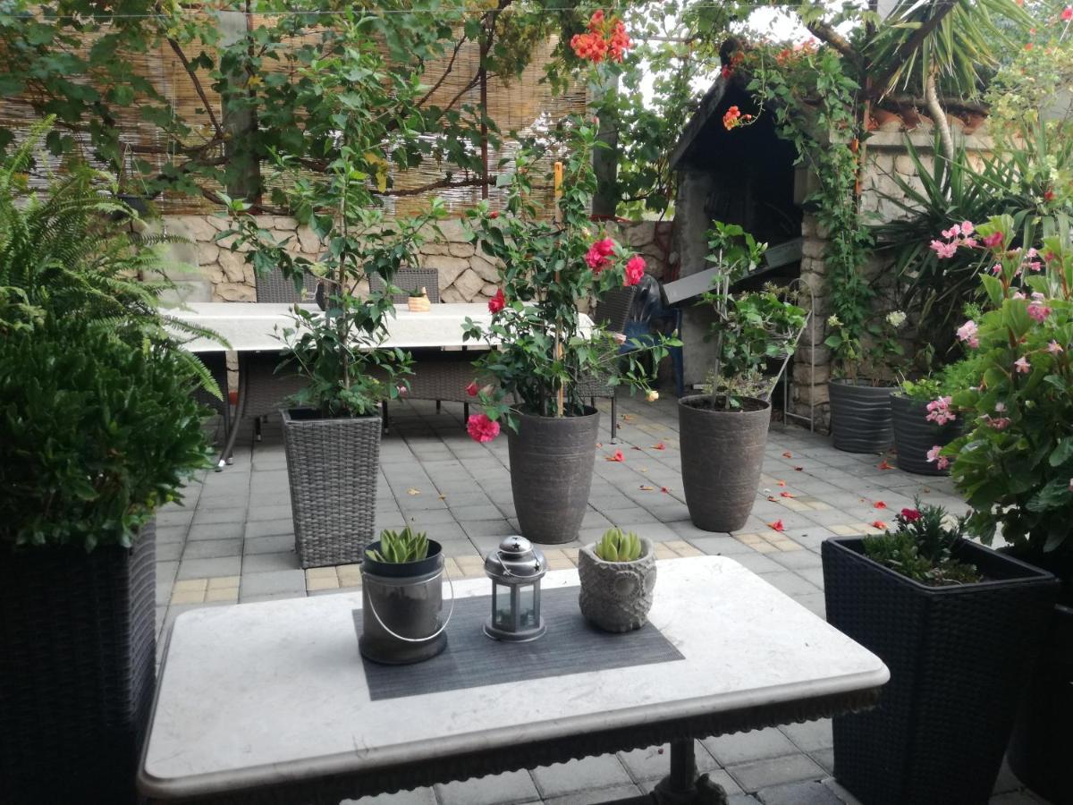 Dalmati House 호텔 브로다리카 외부 사진